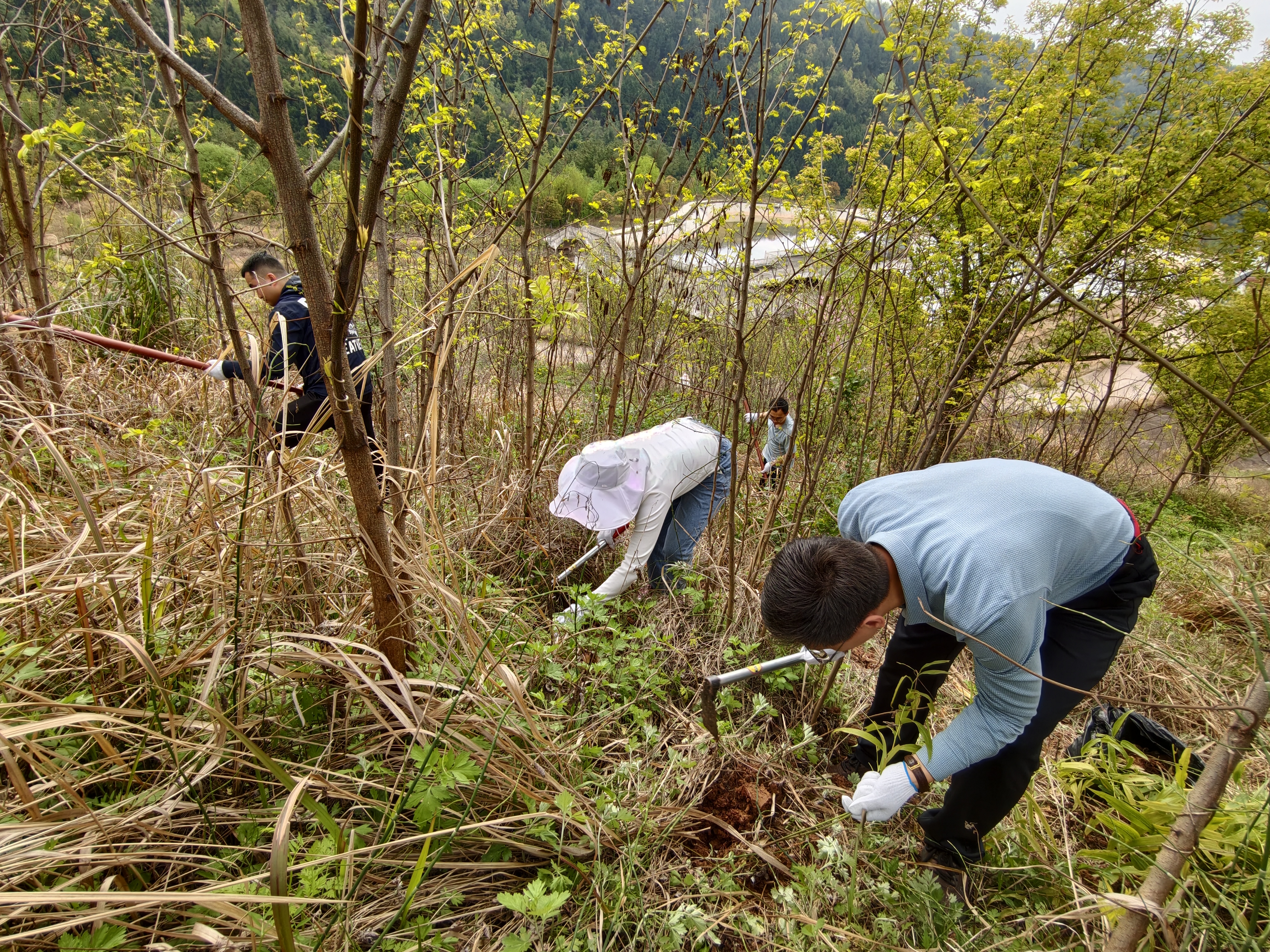 党员助采收 产业添活力——瑞阳建发集团机关党支部开展3月主题党日活动